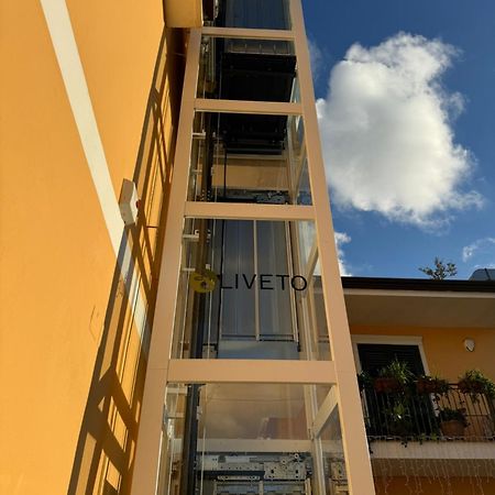 B&B Oliveto Caserta Ngoại thất bức ảnh